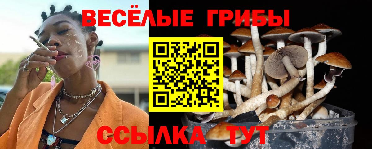 Галлюциногенные грибы GOLDEN TEACHER Вятские Поляны